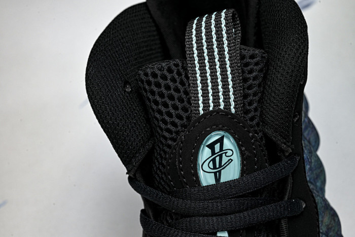Nike Air Foamposite One PreM1vm 