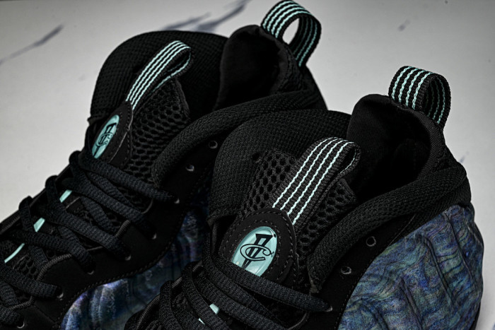 Nike Air Foamposite One PreM1vm 