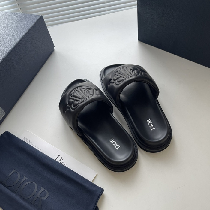 D1R* SLIDE copshoe DR-SLIDE 001