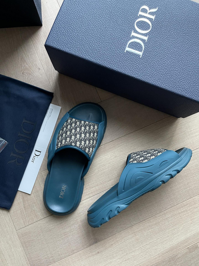 D1R* SLIDE copshoe DR-SLIDE 007