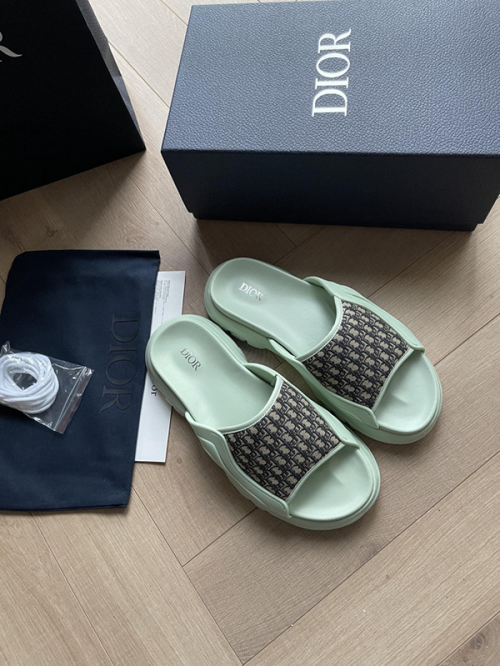 D1R* SLIDE copshoe DR-SLIDE 008