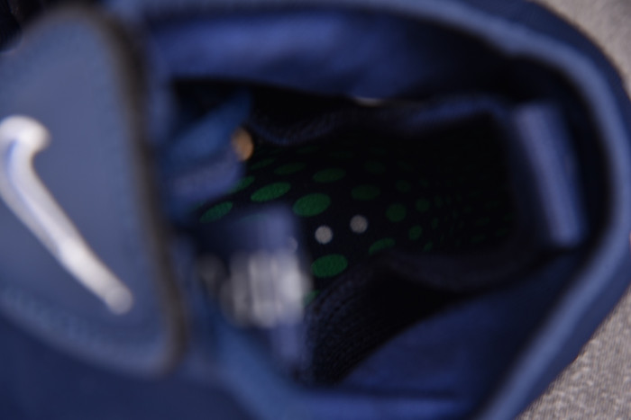 Nike Air Flightposite 2014 