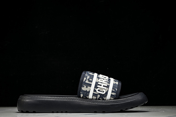 D1R* SLIDE copshoe DR-SLIDE 033