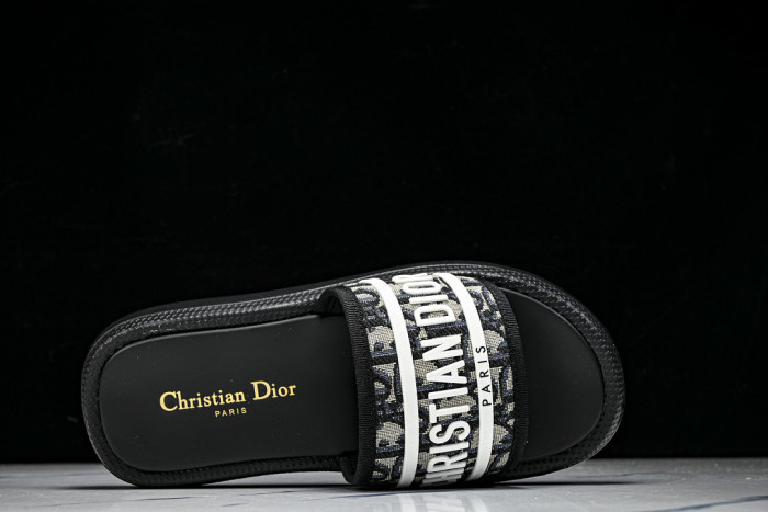 D1R* SLIDE copshoe DR-SLIDE 034