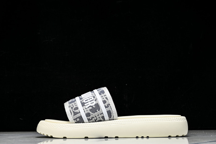 D1R* SLIDE copshoe DR-SLIDE 035