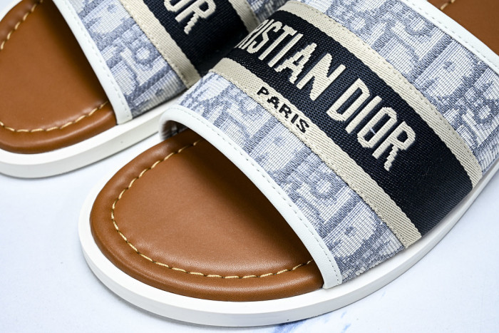 D1R* SLIDE copshoe DR-SLIDE 036