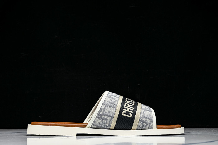 D1R* SLIDE copshoe DR-SLIDE 036