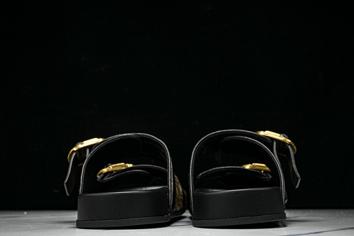 D1R* SLIDE copshoe DR-SLIDE 038