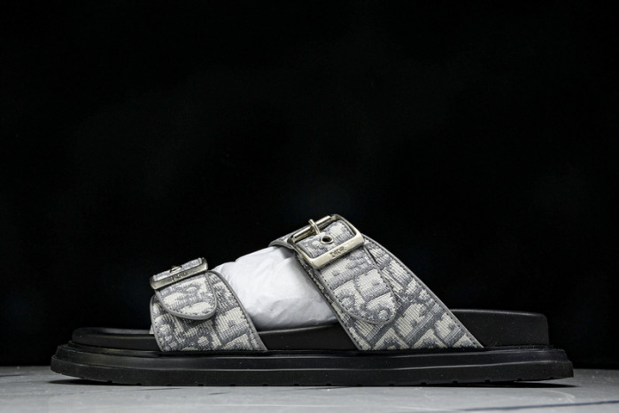 D1R* SLIDE copshoe DR-SLIDE 014