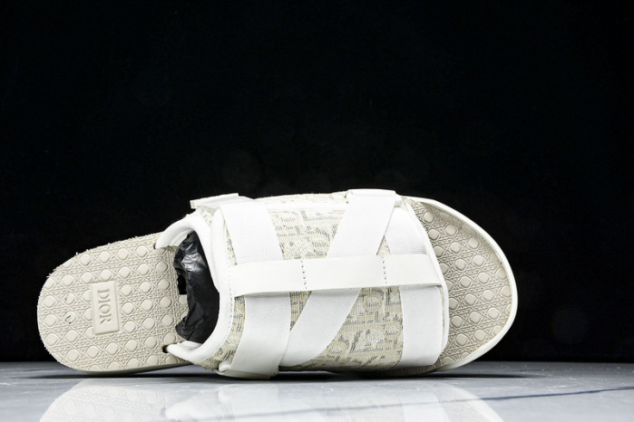 D1R* SLIDE copshoe DR-SLIDE 019