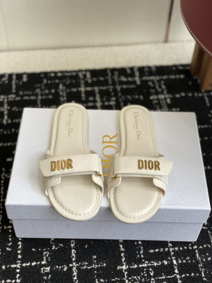 D1R* SLIDE copshoe DR-SLIDE 024