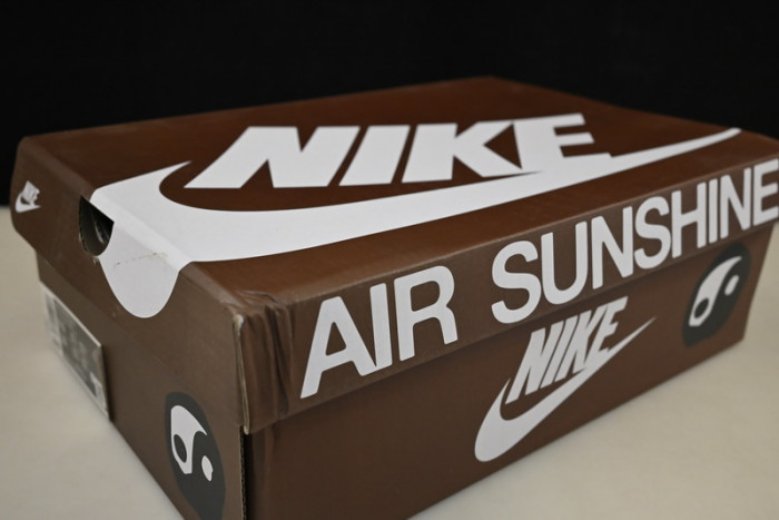 nike cpfm flea 1 cactus plant flea market desert moss dm0430-700